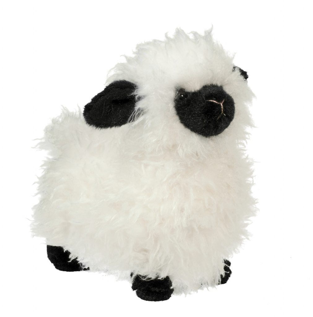 1532-1011x1024-1.jpg Shiloh Sheep - Image 1