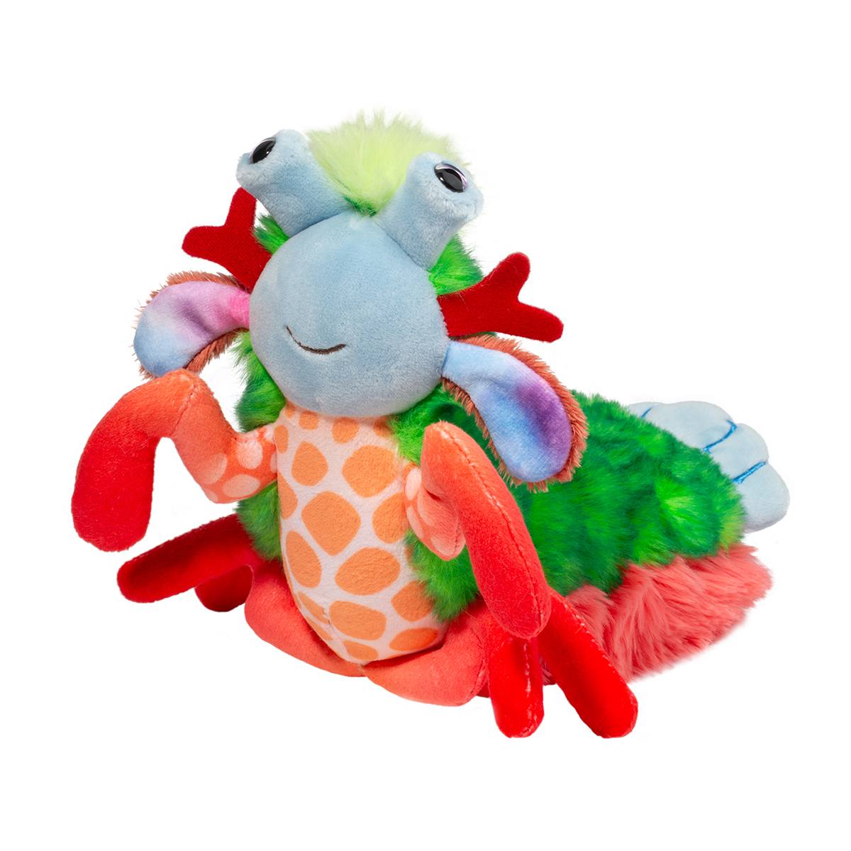 1626-1.jpg Punchie Mantis Shrimp - Image 1