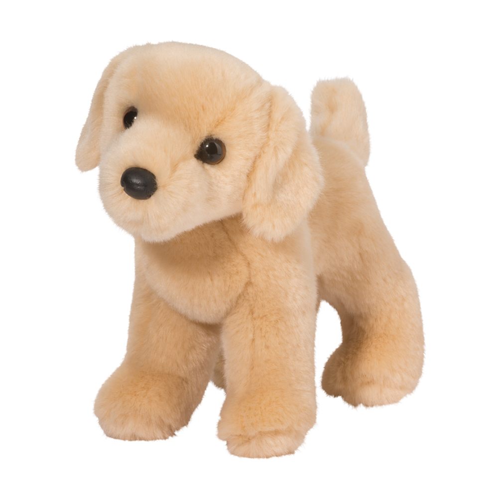 1728.jpg Zach Yellow Lab - Image 1