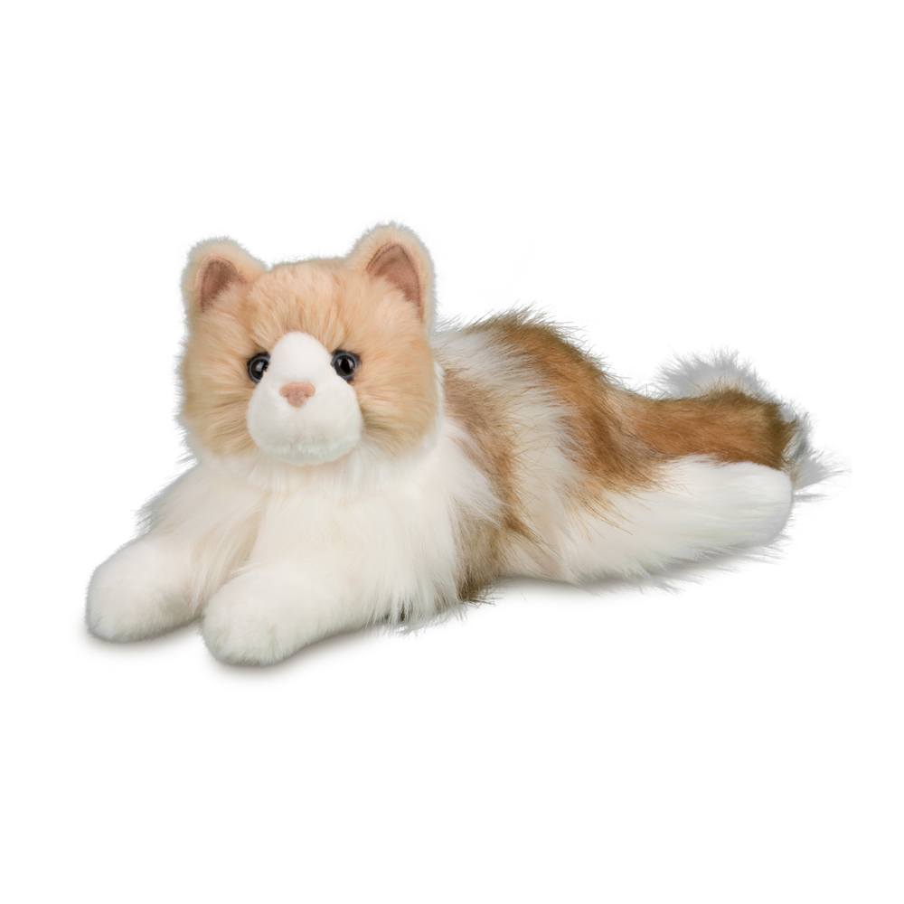 284-Ragdoll-Cat-1.jpg Kiki Ragdoll Cat - Image 1