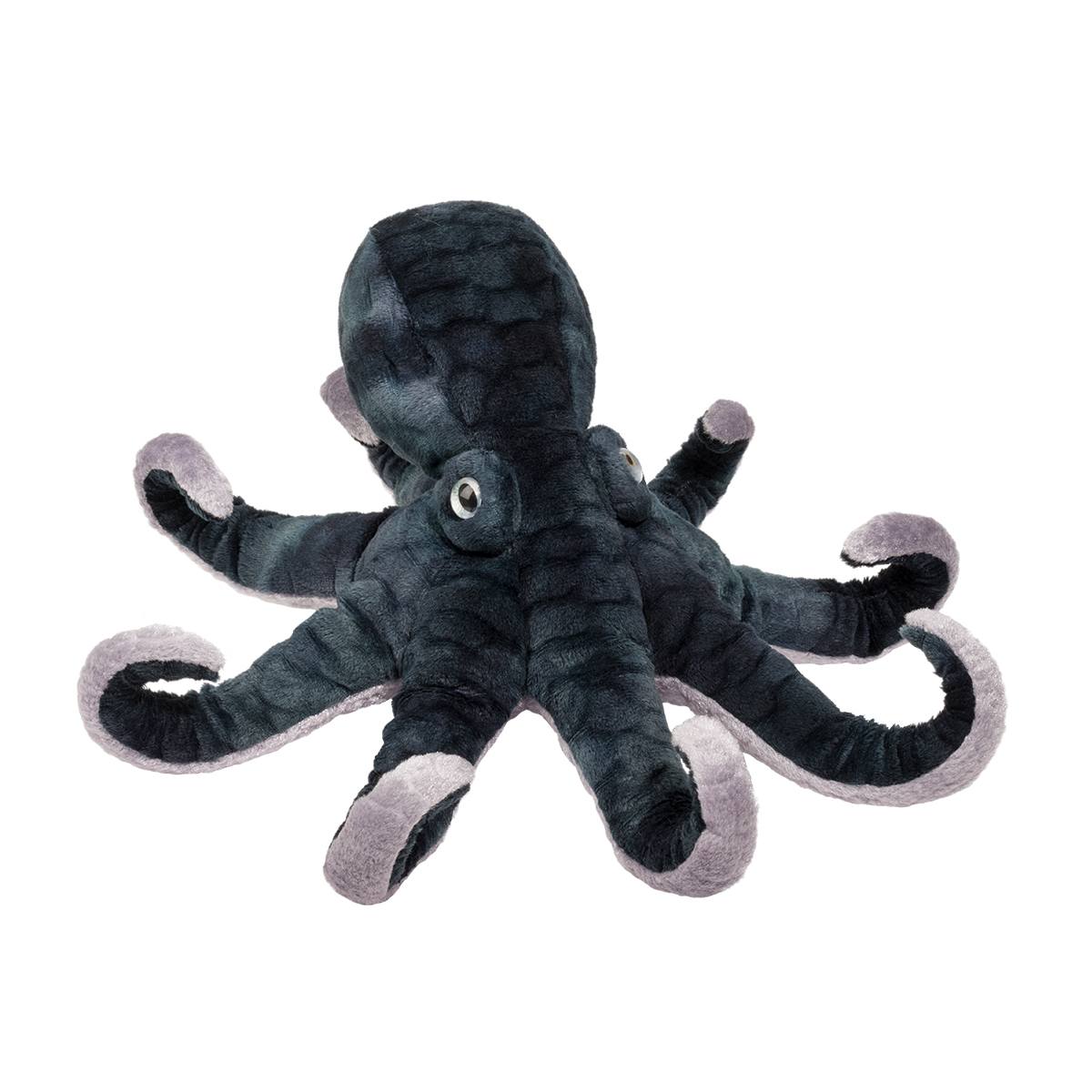3812-1.jpg Winky Octopus - Image 1