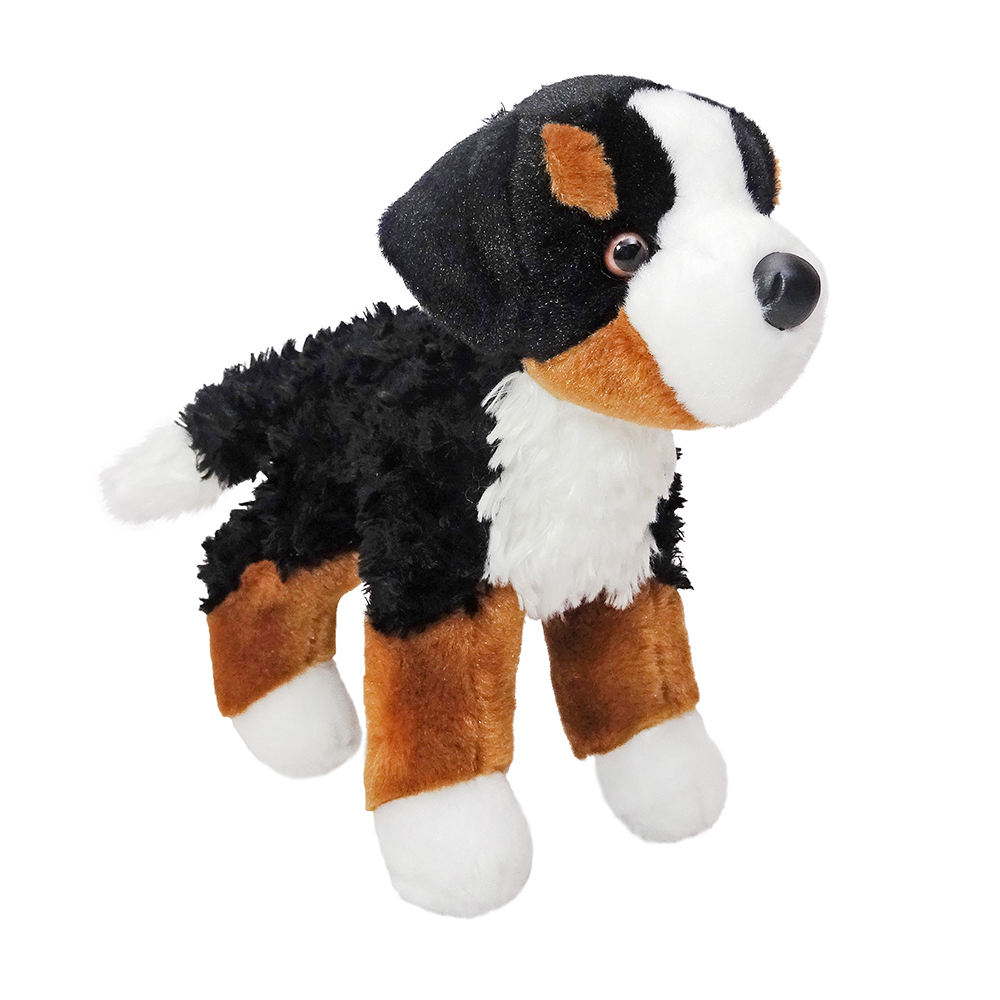 4070-UPDATE.jpg Miranda Bernese Mountain Dog - Image 1