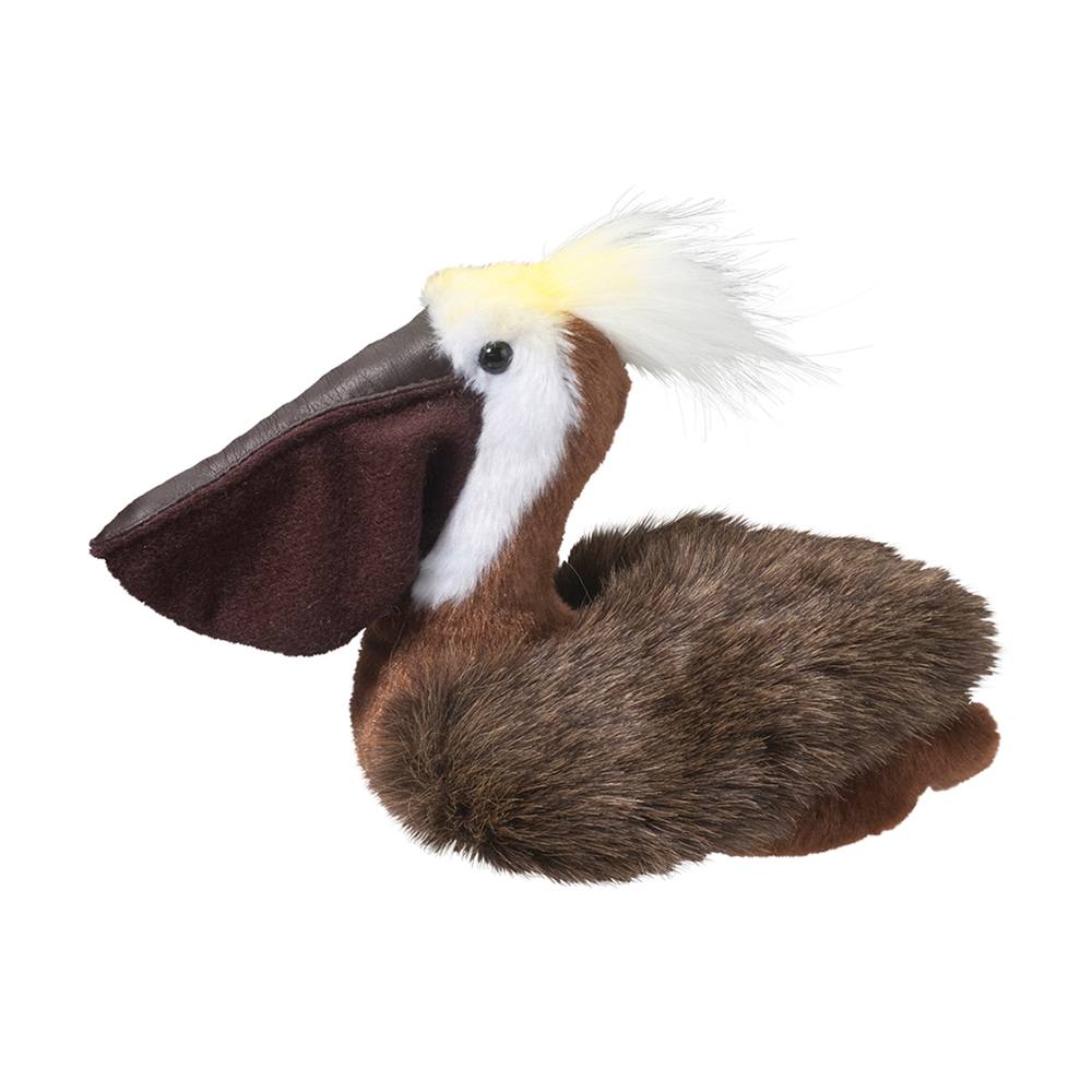 4085.jpg Beachy Pelican - Image 1