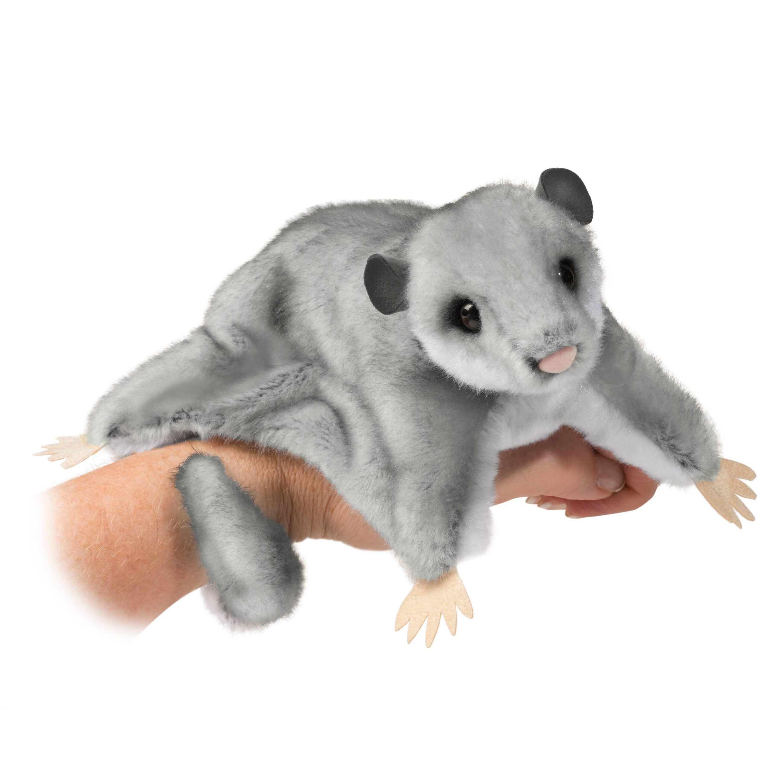 4123-scaled-1-scaled-1.jpg Squeek Sugar Glider - Image 1