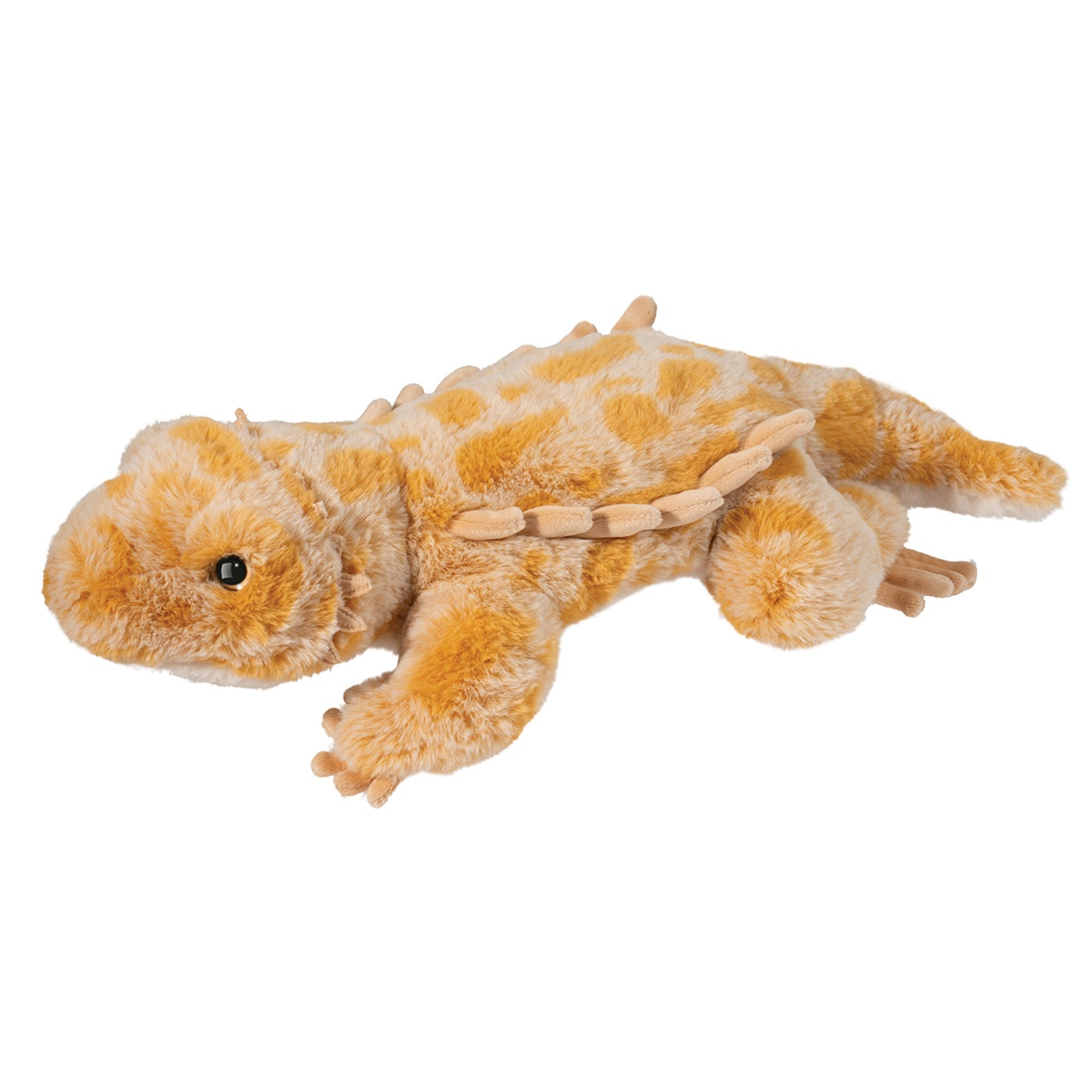 4695.jpg Boogie Soft Bearded Dragon - Image 1